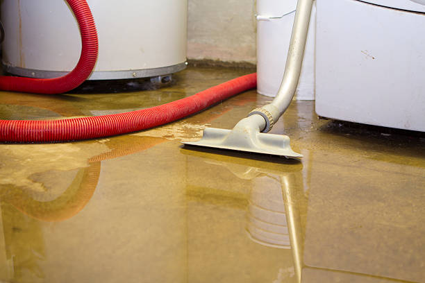 Best Plumbing Leak and Burst Pipe Cleanup in USA