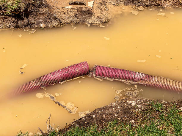 Best Basement Water Damage Restoration in USA